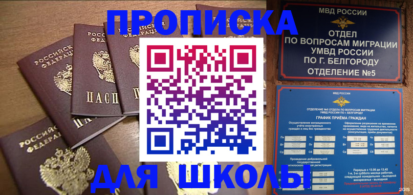 прописка гарантия в Ярославской области